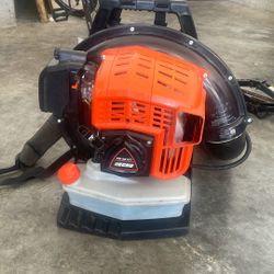 Echo Blower 