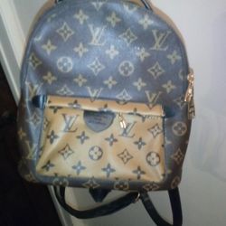 Louis Vuitton Backpack Women