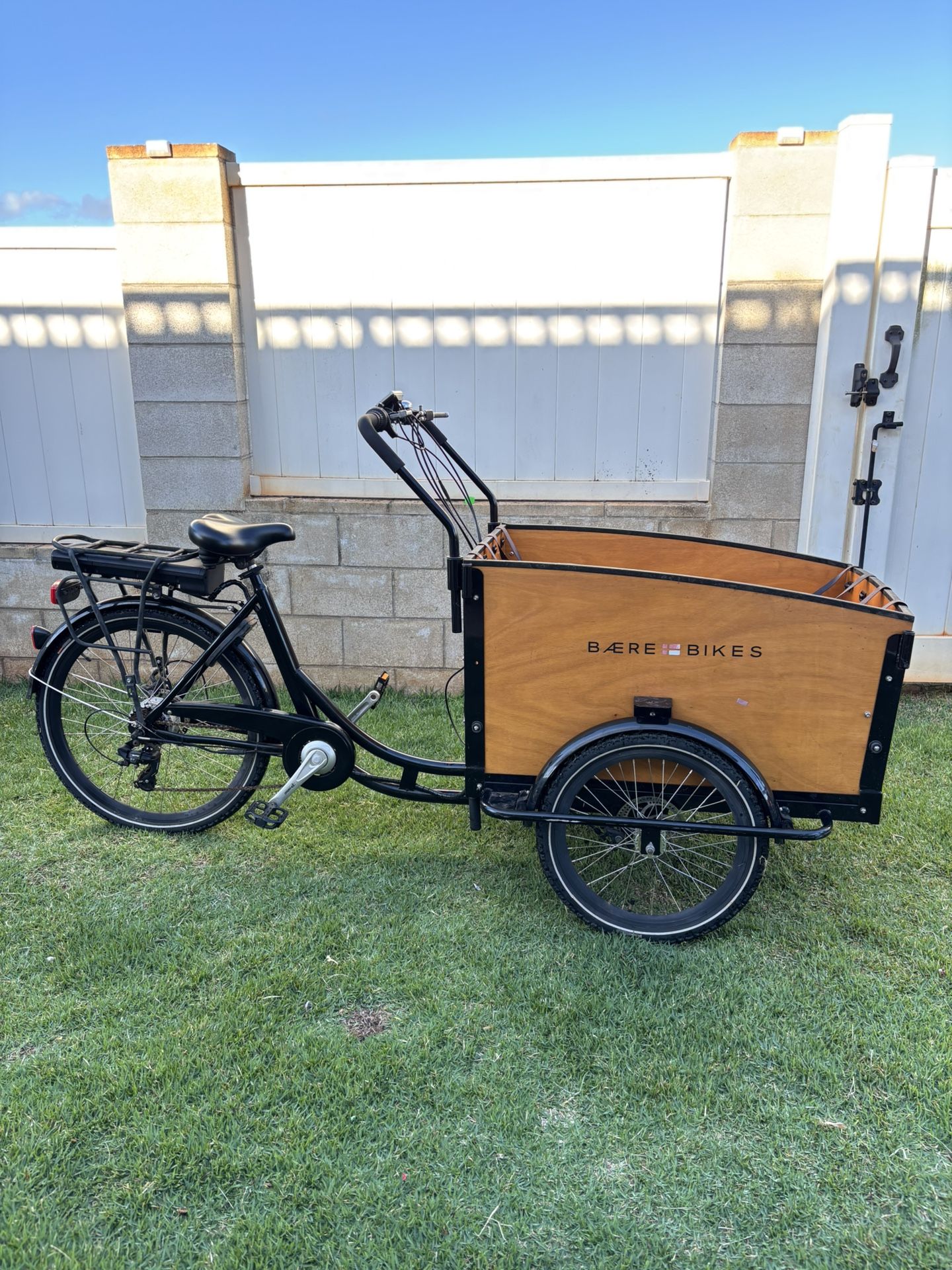 Electric Cargo Bike