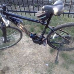 Giant E Bike 