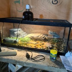 20gallon Turtle Tank
