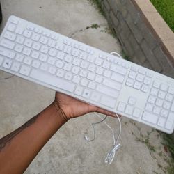 Computer Keyboard 