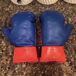 Kids Boxing Gloves Toy