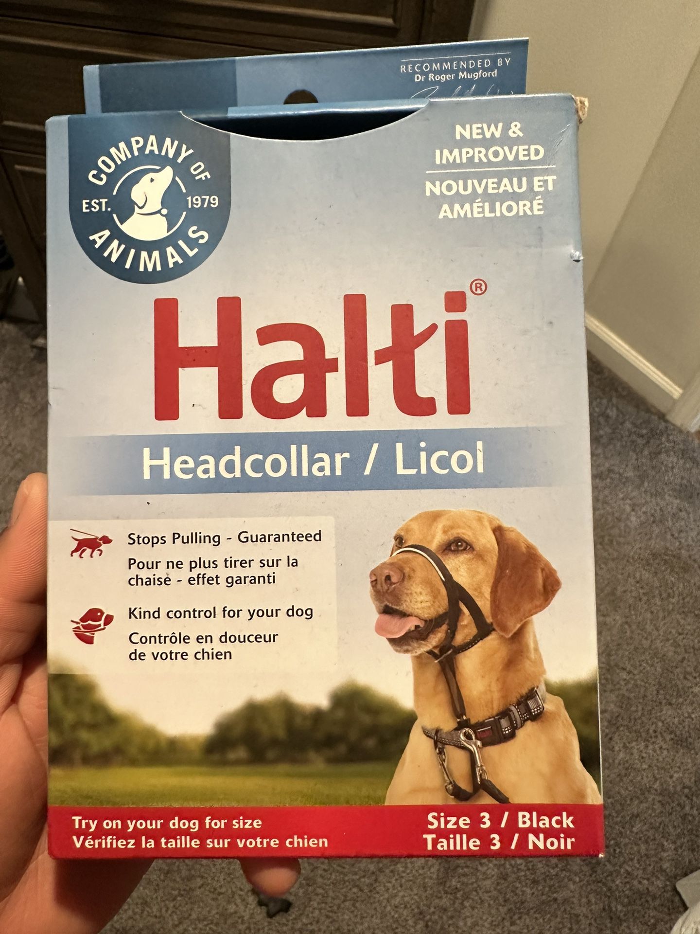 Dog Collar/Lead