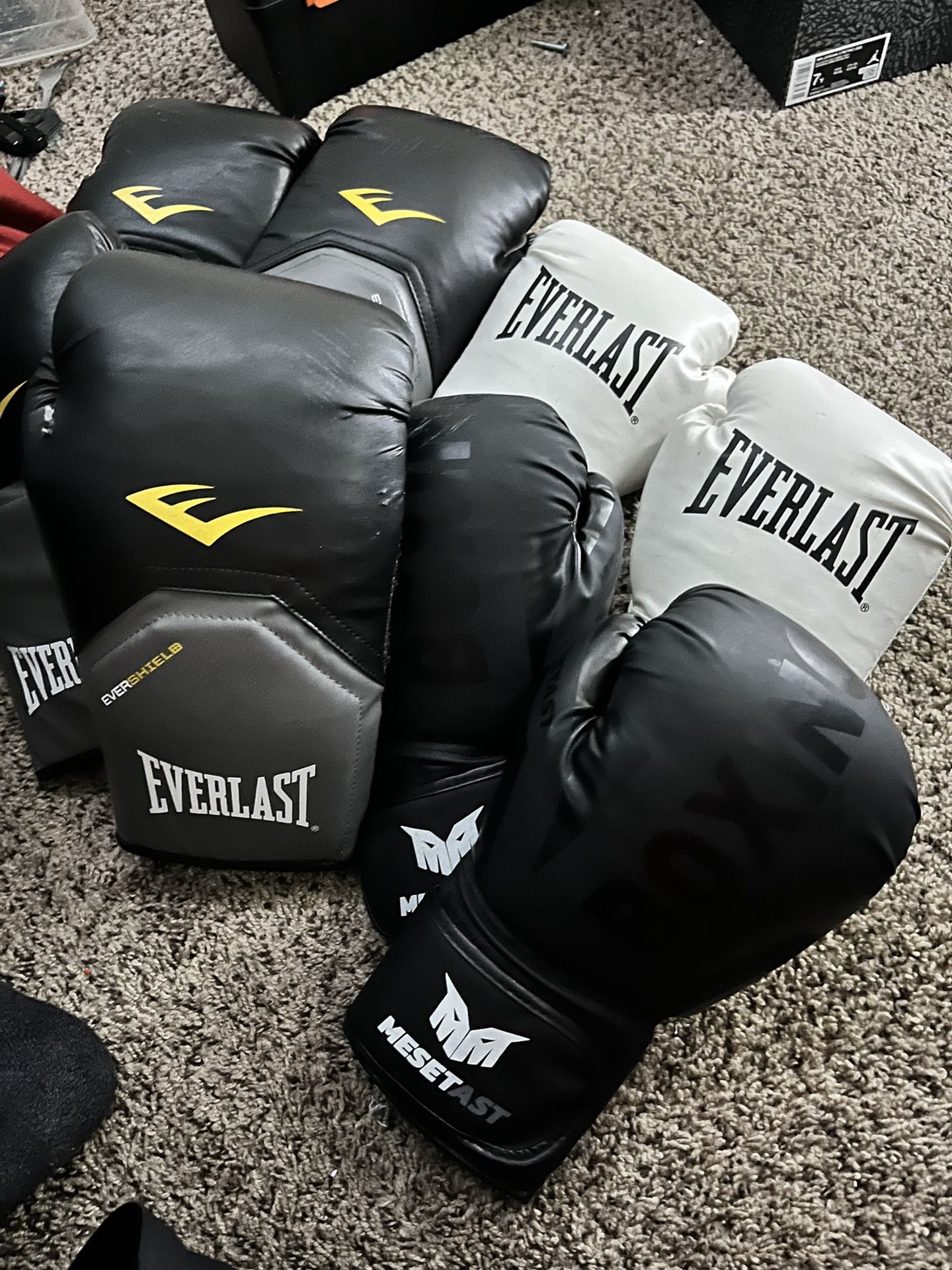BOXING GLOVES (WITH BAG)
