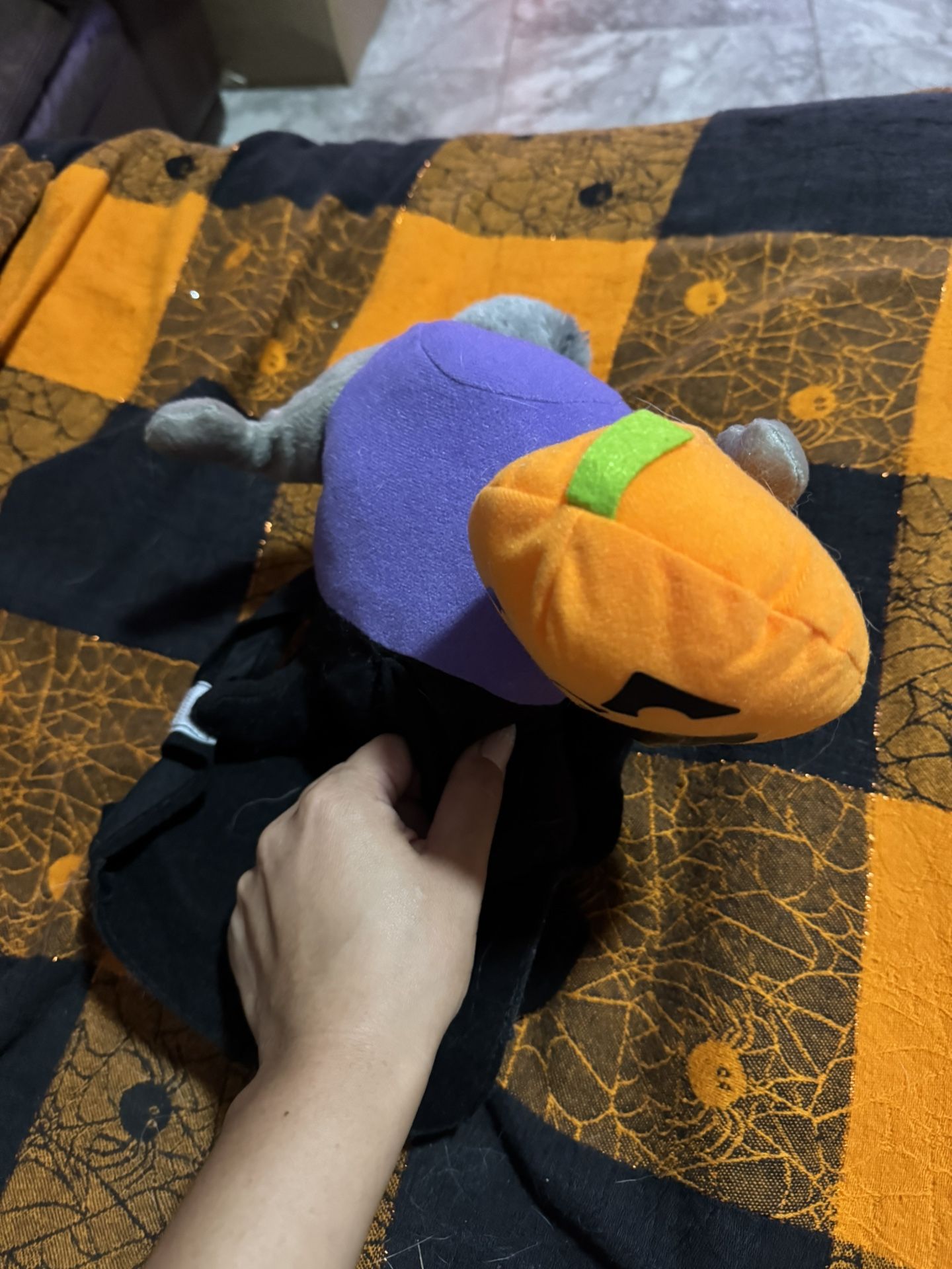 Dog Costume