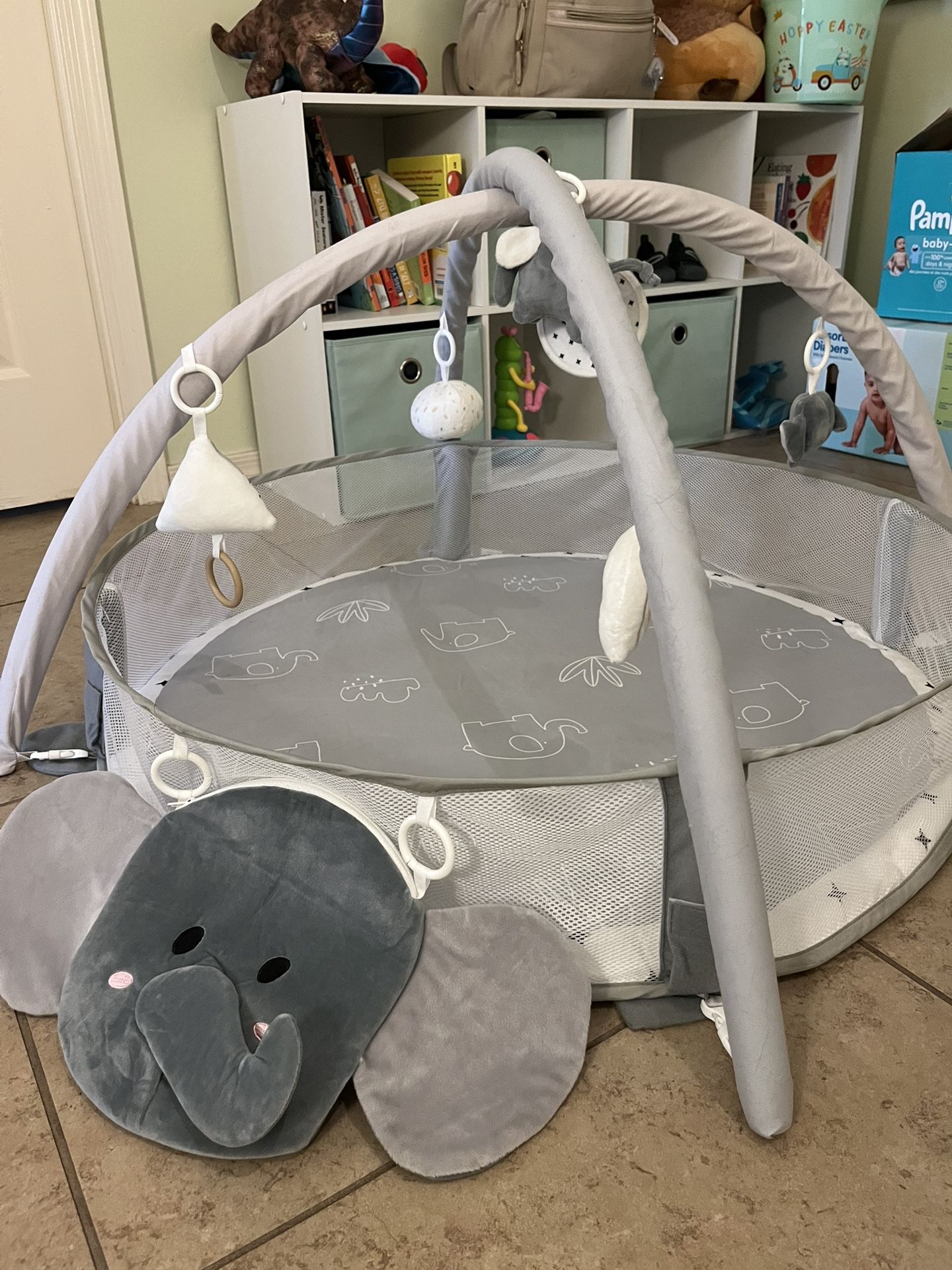 Baby Gym Play Mat