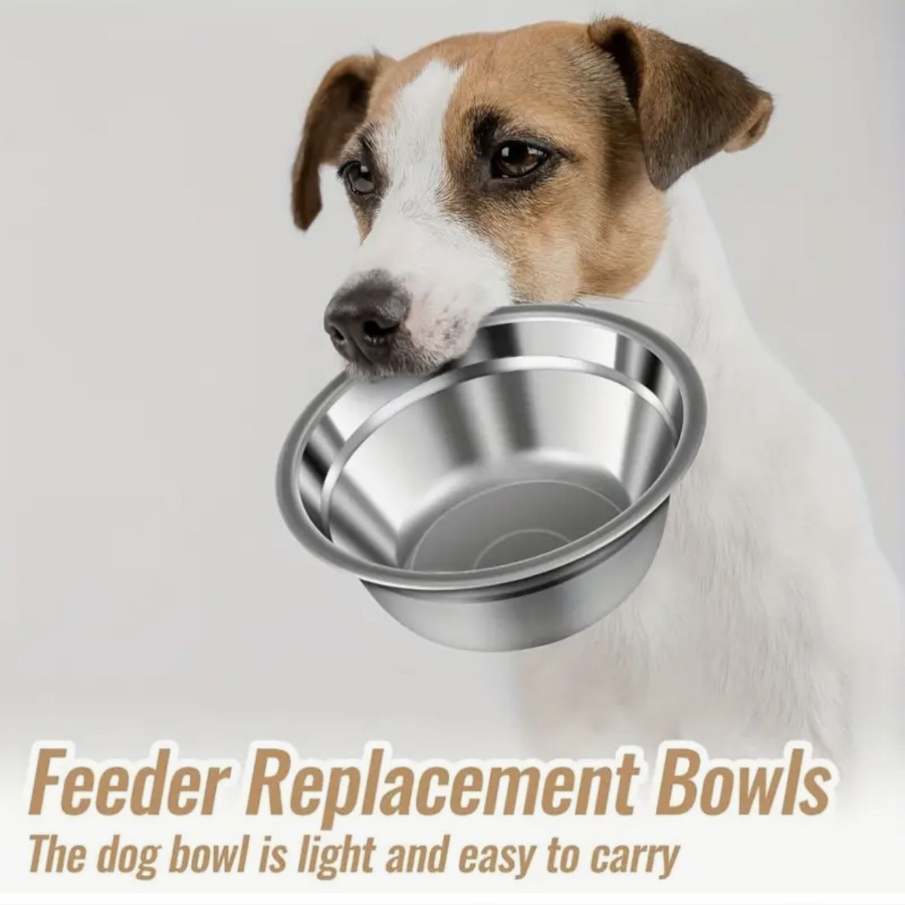 1pc Stainless Steel Pet Bowls