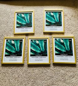 Set of 5 Gold 8x10 Picture Frames