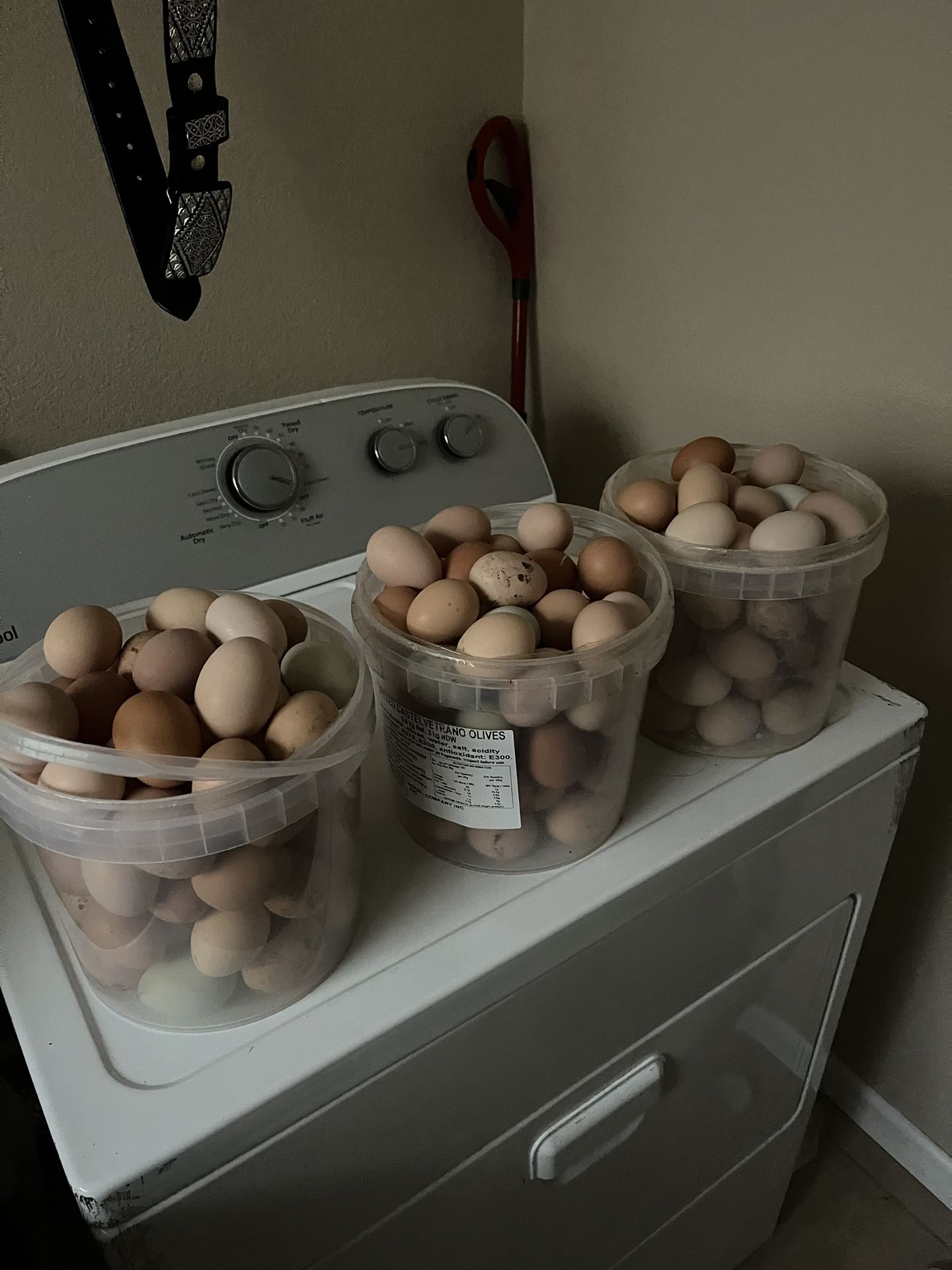 Fresh Fram Eggs 