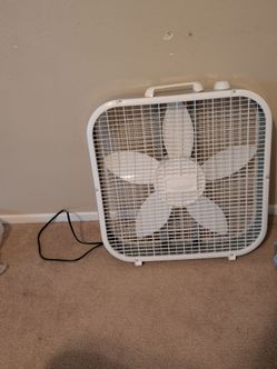 Box fan 20-in