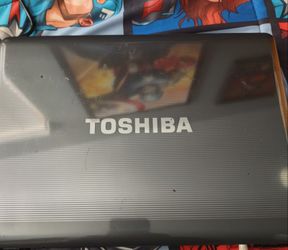 Toshiba Satellite M305D-S4831