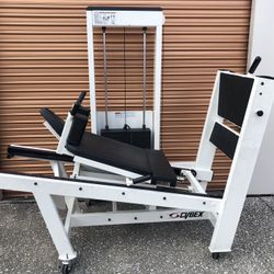 Leg press hotsell 500 lbs