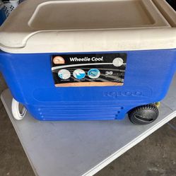 Ice Chest Cooler $15