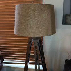 Modern Tripod Flood Lamp 