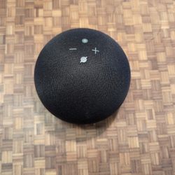 echo dot (3rd gen)