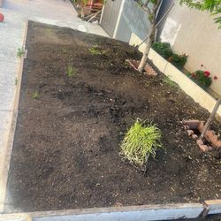 Free Topsoil Organic