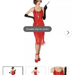 Flapper Girl Costume - NEVER USED 