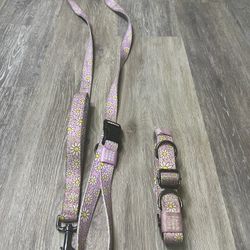 Matching Dog Leash And Collar