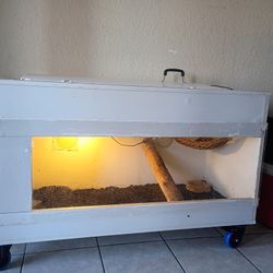 Reptile Enclosure