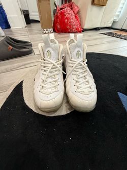 Size 12 Nike Foamposites