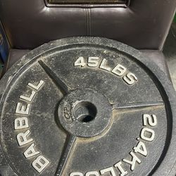 Two 45lb Plates