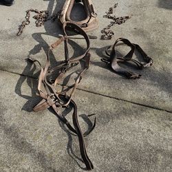 US Calvary Horse Yoke Reins Etc.