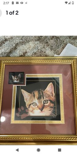 Framed USPS 2002 37 cents "Spay & Neuter" Kitten Postage Stamp