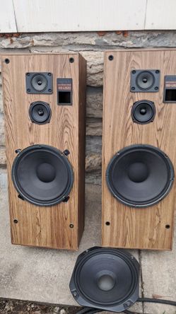 Sony Speakers Been Rempace 12in In Good Condition