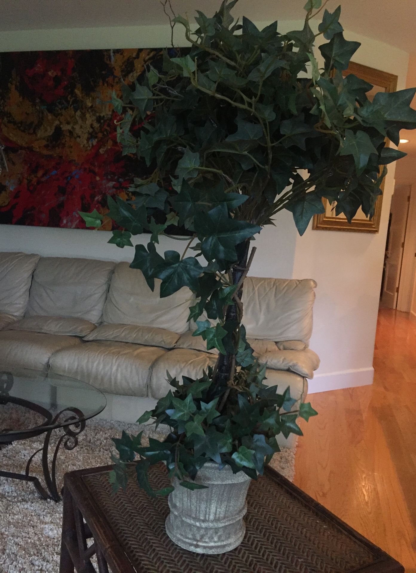 Topiary Plant/Tree in pot