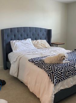 Queen Sized Bed frame / Headboard