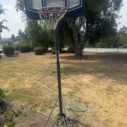 Basketball Hoop 