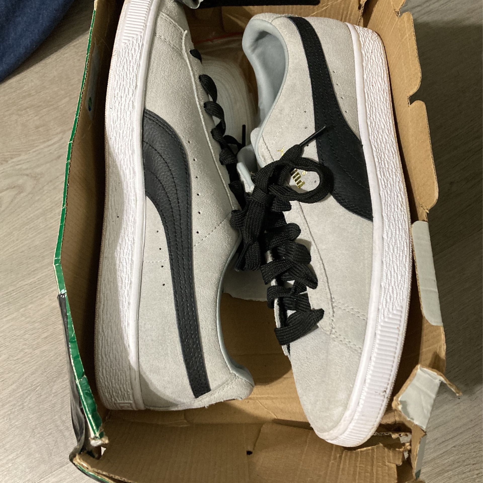 Puma