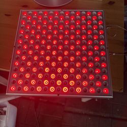 Therapy Light 