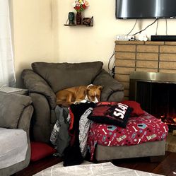 Loveseat & Chair 