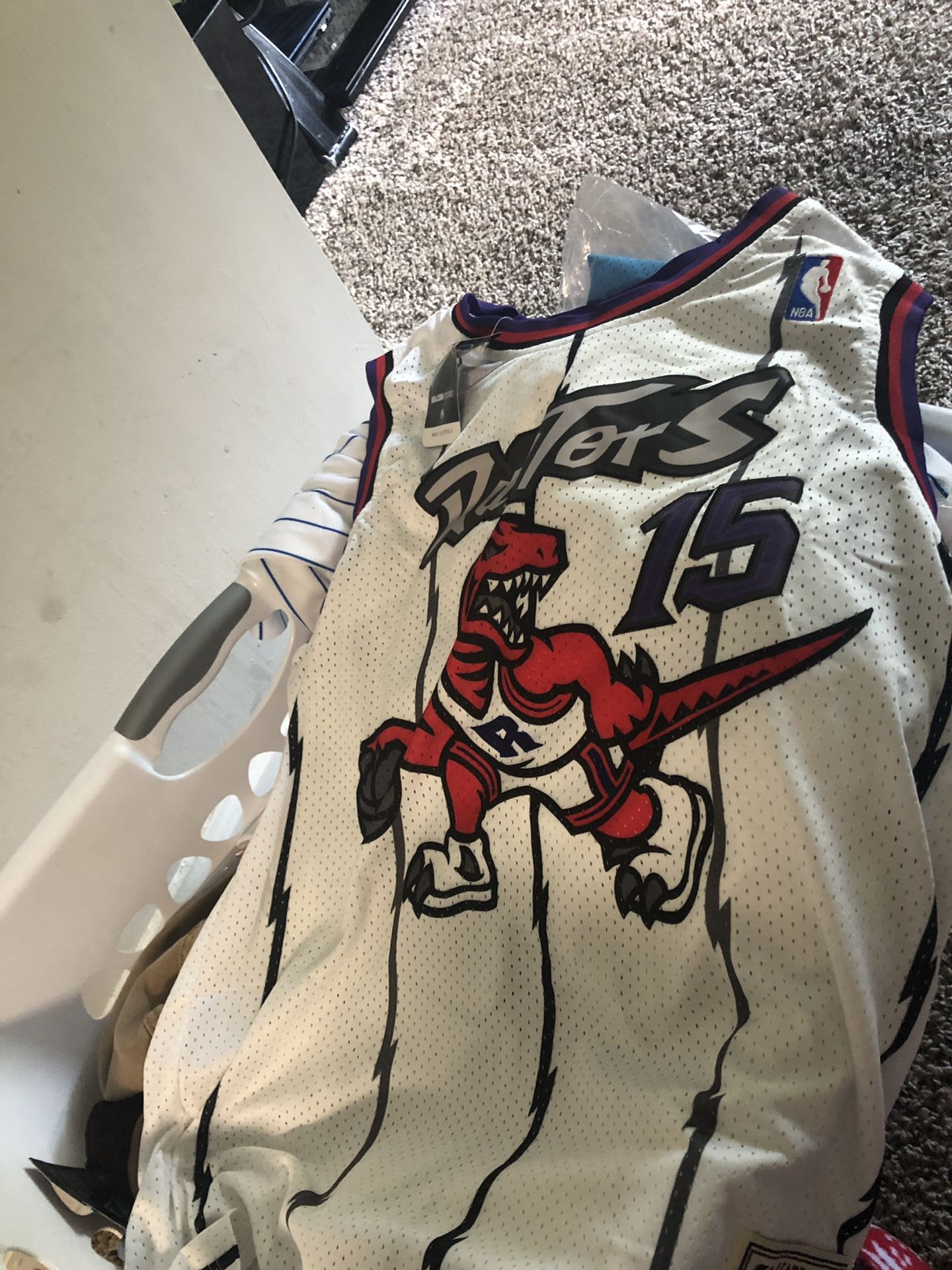 Raptors