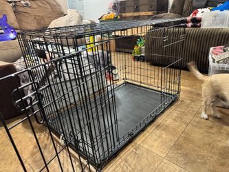 Dag Cage