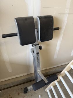 Back Extension Bench