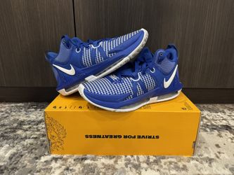 Nike Lebron Witness 7 Game Royal
