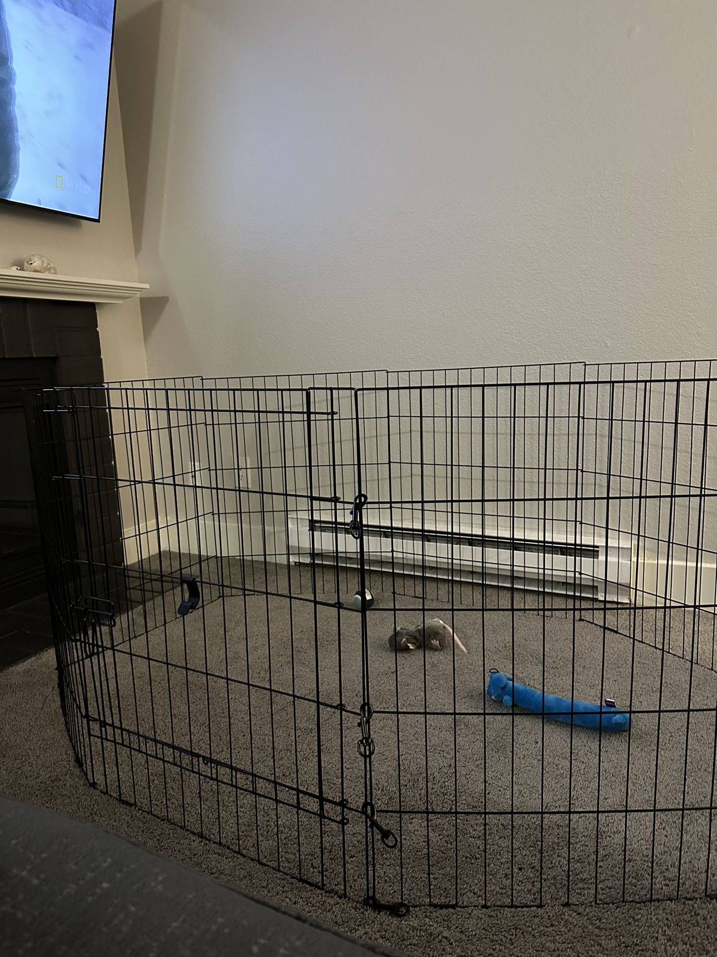 Large Dog Crate And Play Pen $80 OBO