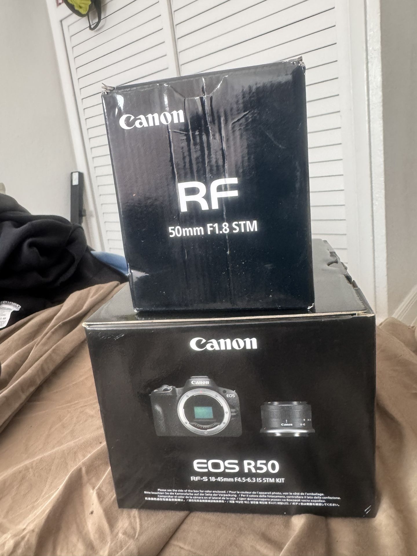 CANON EOS R50 / RF 50mm F1.8 STM