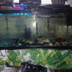 40 Gallon NEW filters New Dual Air Pump