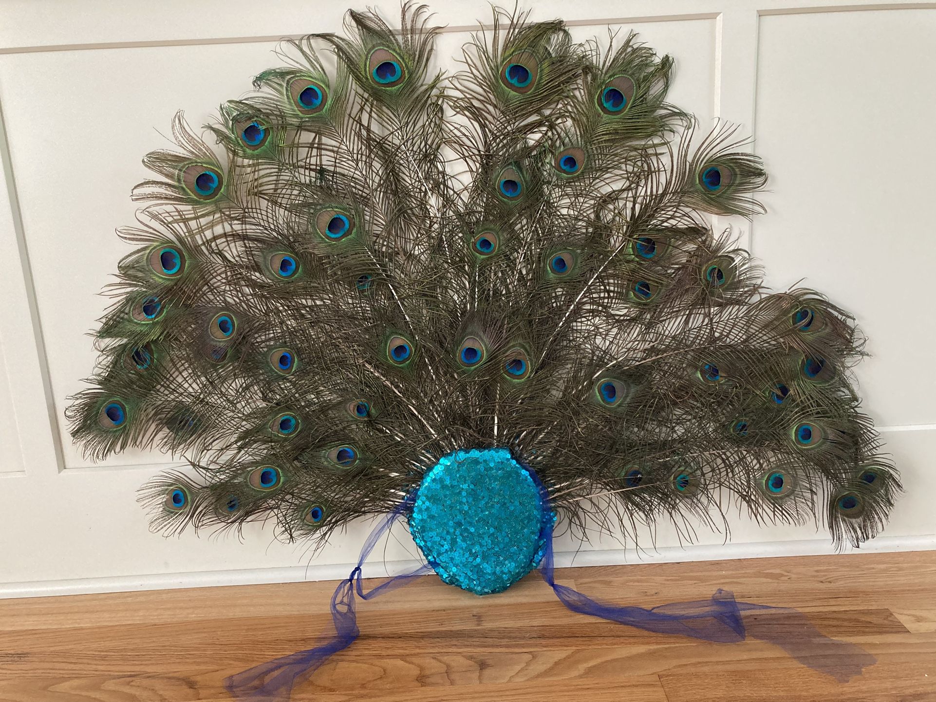 Peacock Tail For Child Costume
