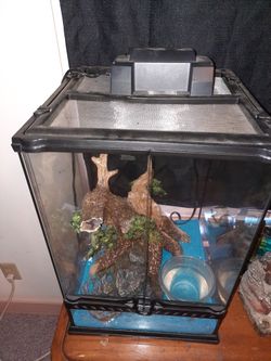 Nice Full Set-Up Plus Sand Boa