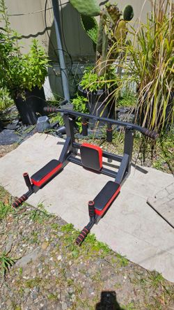 Wall Mounted Pull Up Bar and Dip station