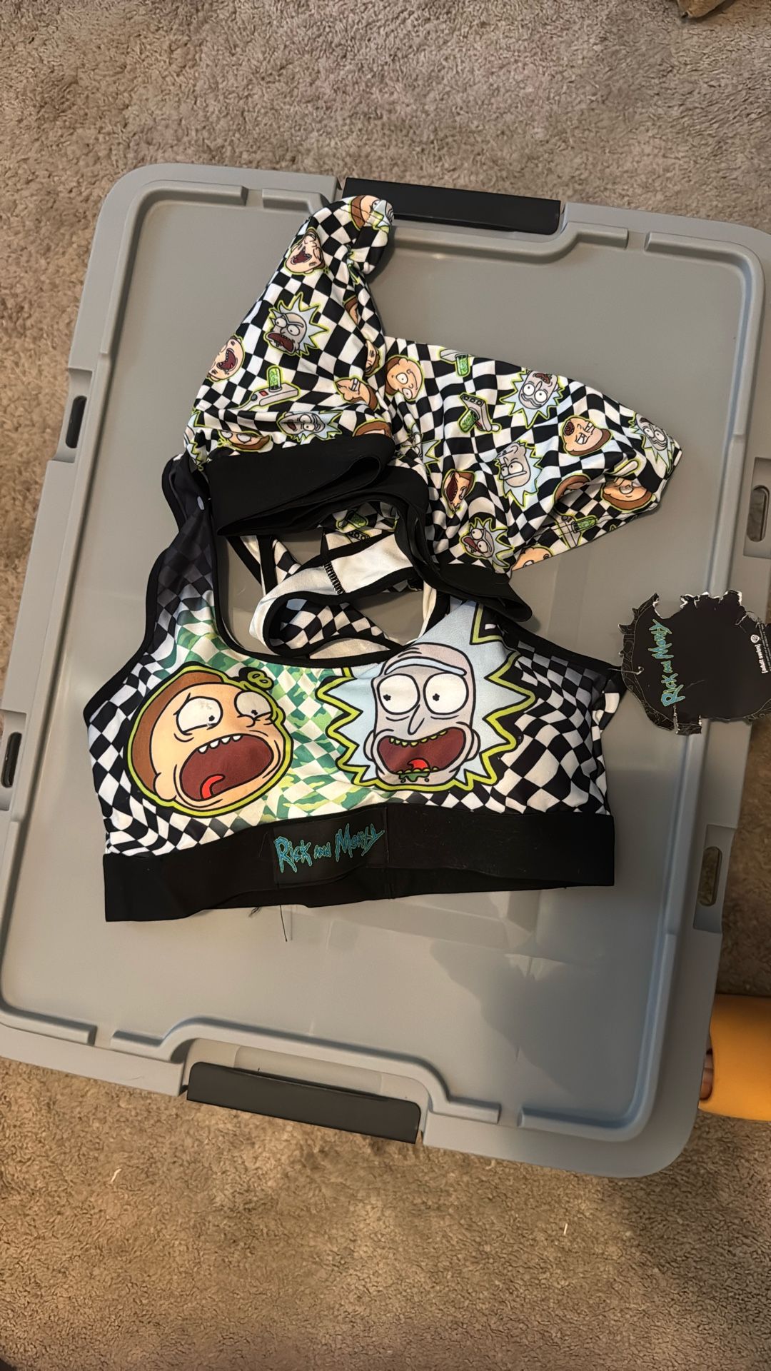 Rick And Morty Sports Bra and Briefs Set