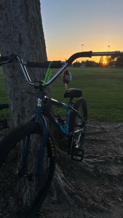 GT dino pro series 24