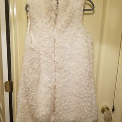 Fur Vest