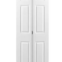 Closet Door 30x80