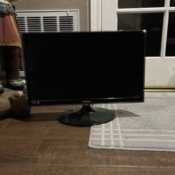Computer Monitor 